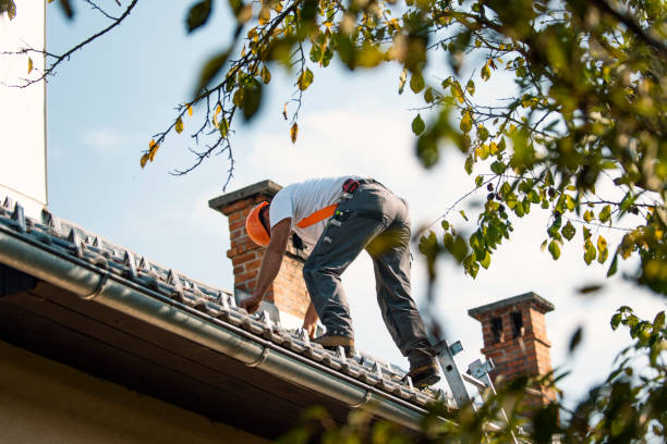 Best Metal Roofing Contractor  in Springmont, PA